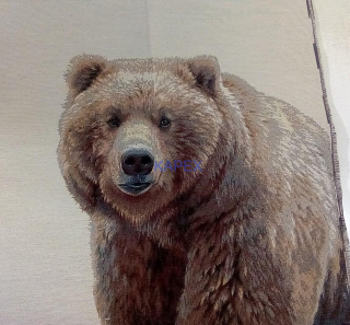 Štvorec na vankúš: medveď